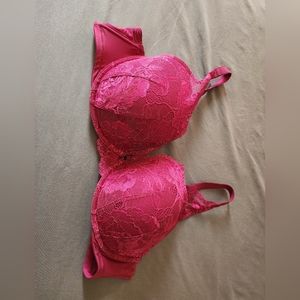 Cute torrid bra